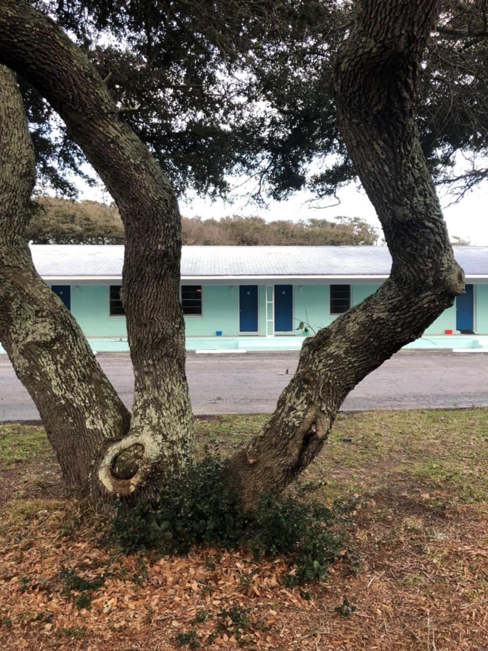 בקסטון Swell Motel מראה חיצוני תמונה